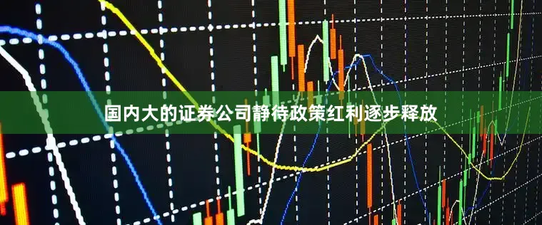 国内大的证券公司静待政策红利逐步释放