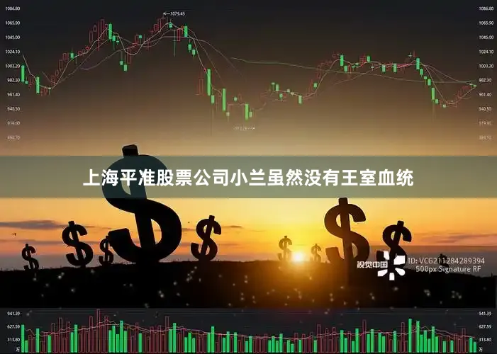 上海平准股票公司小兰虽然没有王室血统